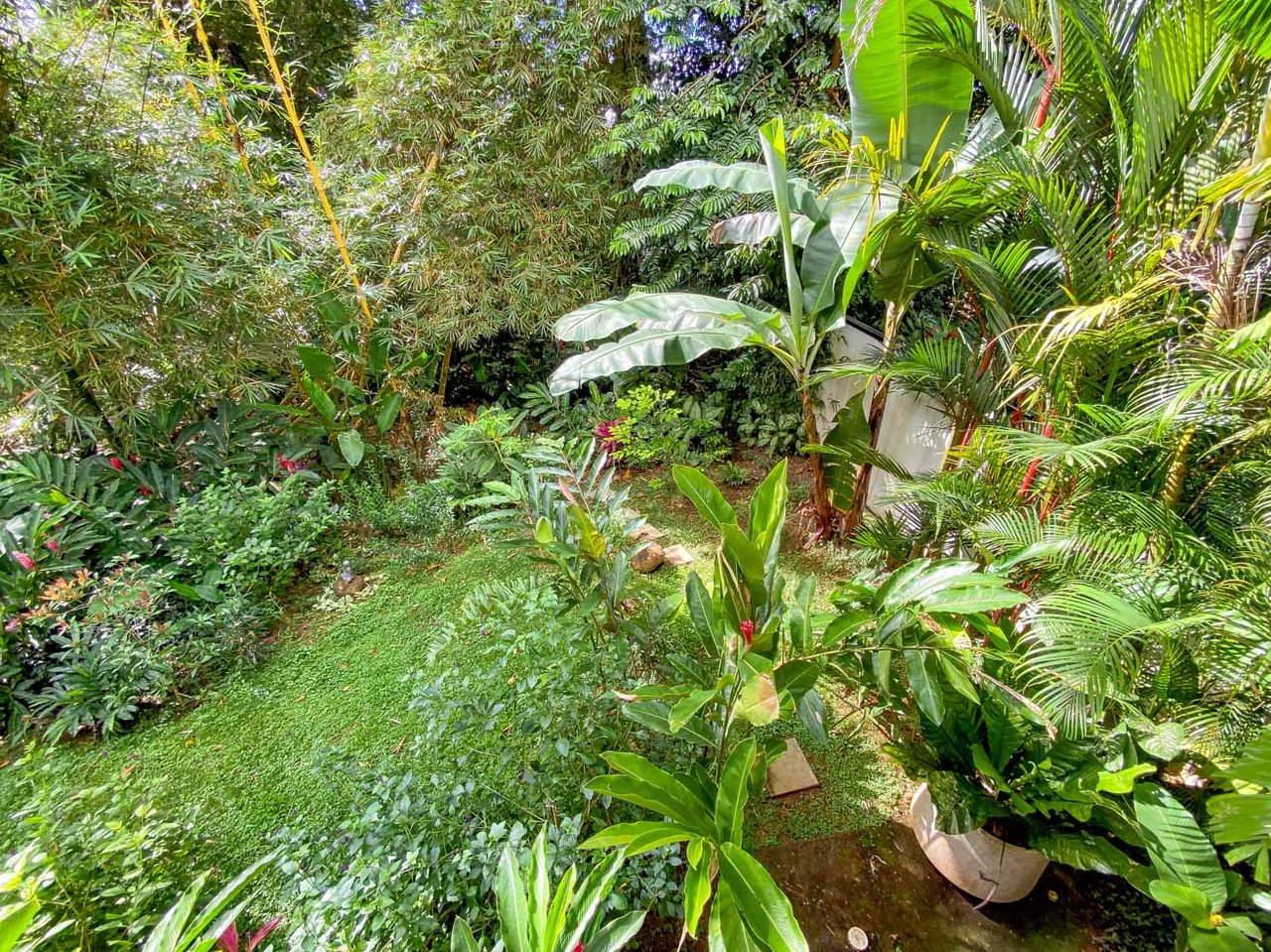 Tropical 4-Bedroom Home for Sale in Uvita | Pool & Airbnb Income
