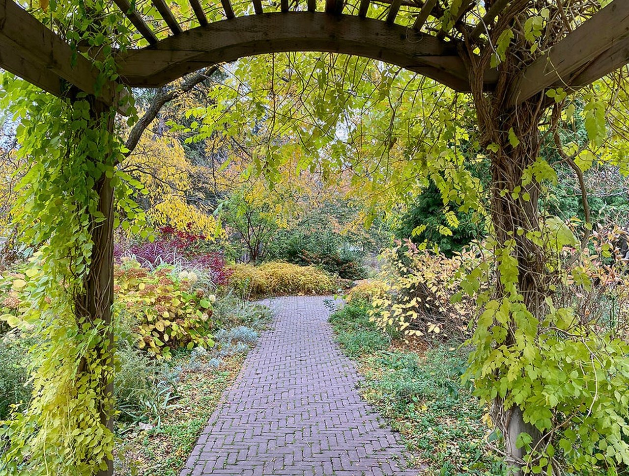 Living in Etobicoke’s Most Desirable Neighbourhoods: Old Mill & Edenbridge–Humber Valley