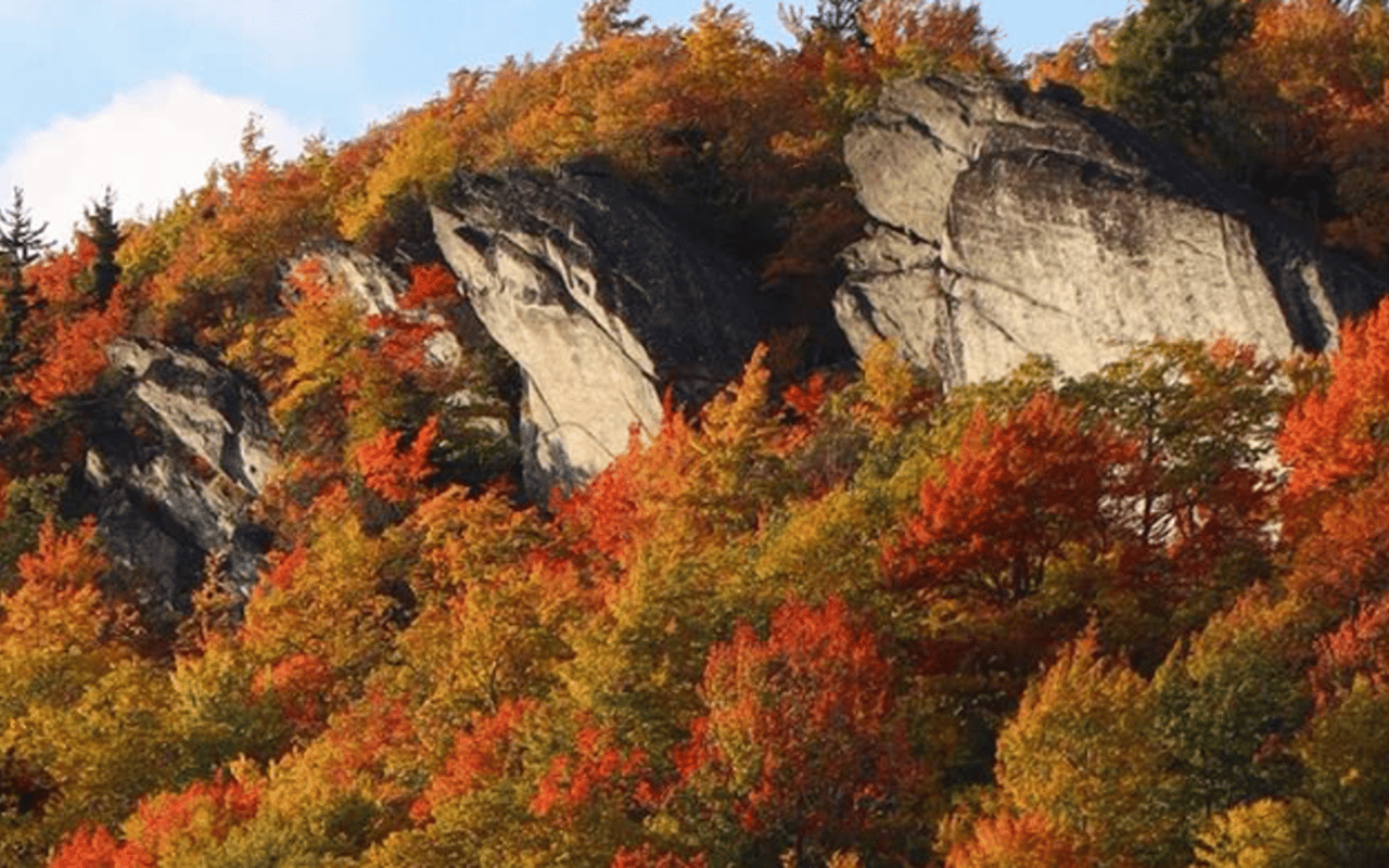Rocky mountain outcrops rise above brilliant red, orange, and yellow autumn foliage.