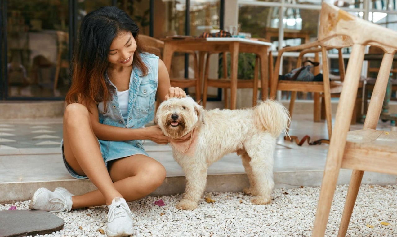 6 Great Pet-Friendly Restaurants in Santa Clara