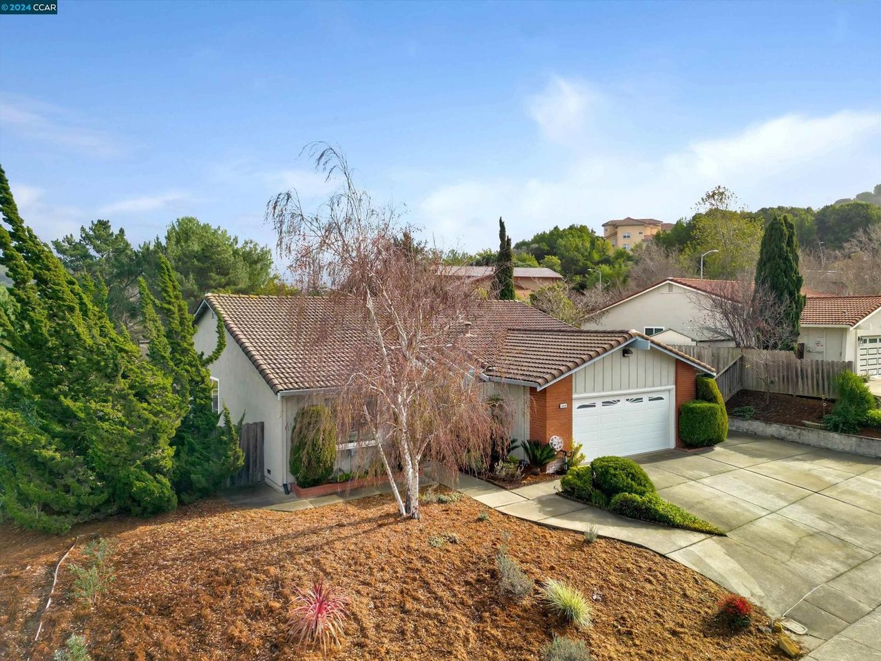 2216 Bristlecone Dr
