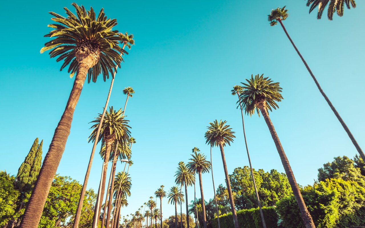 California to Nevada