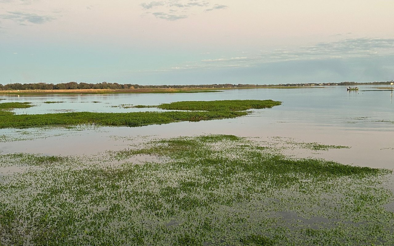 Lady Lake