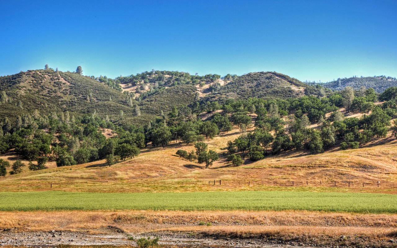 Tree Farm / Discovery West / Westgate