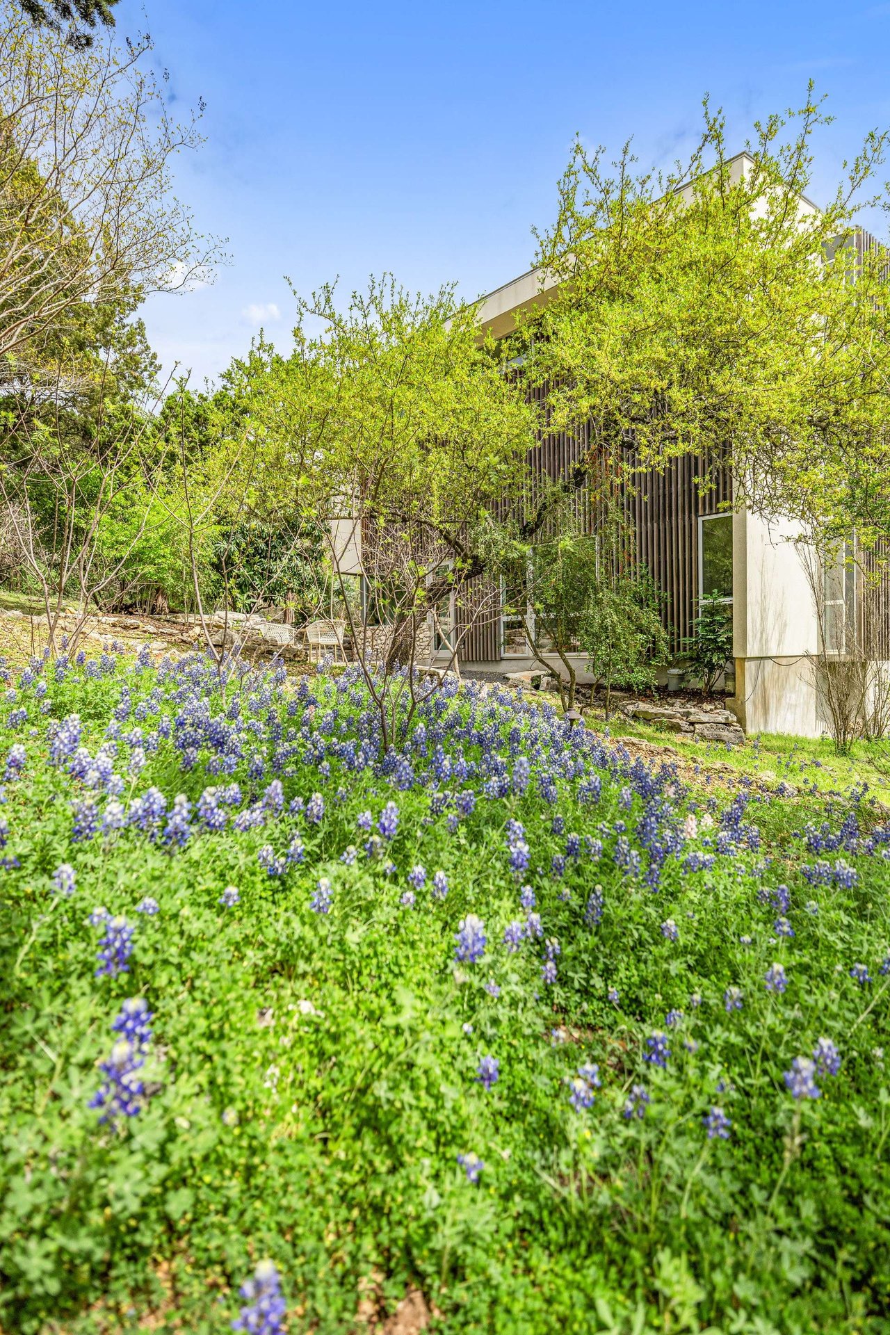 403 Graciosa Cove - Westlake Hills Modern Architectural Estate