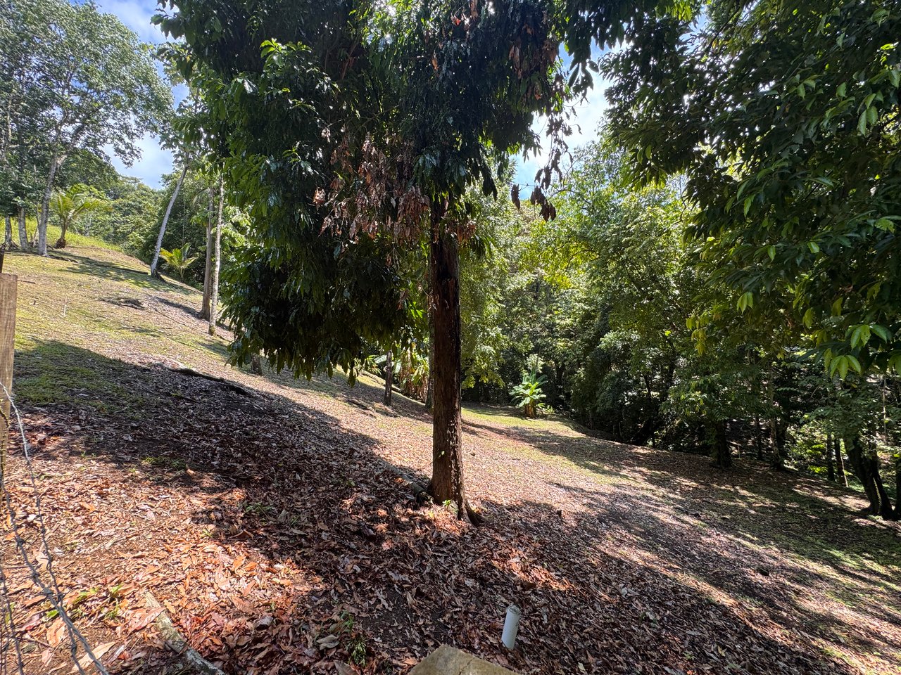 Walk to the Playitas beach, Titlled Building lot