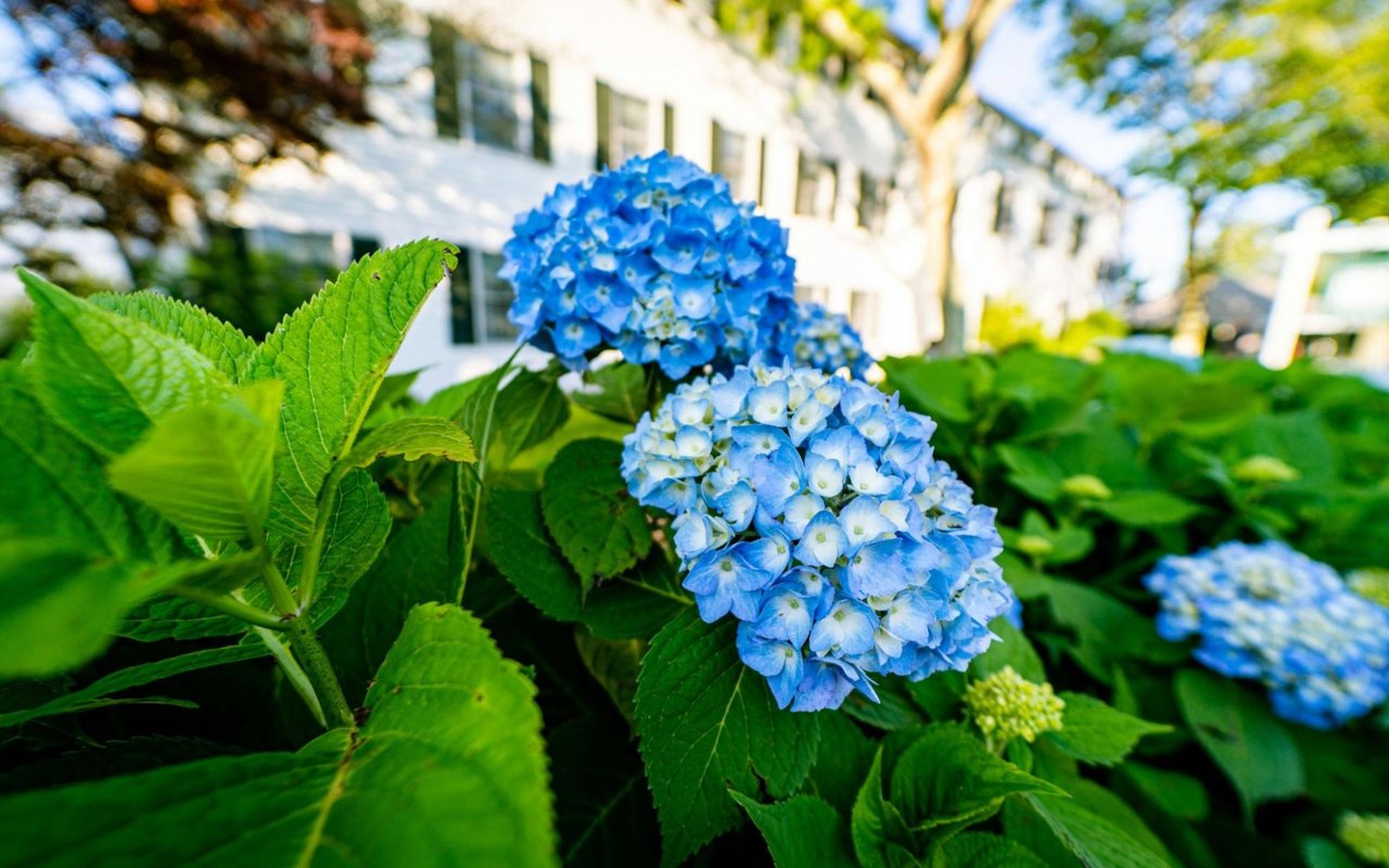 How to Own Your Dream Home in Washington DC: A Step-by-Step Guide