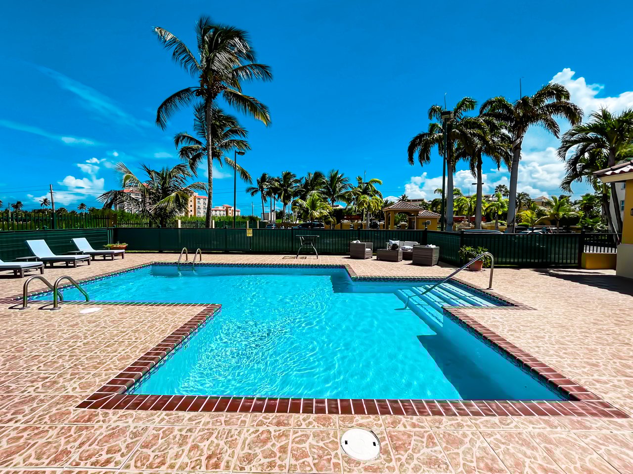 Royal Palm B-502