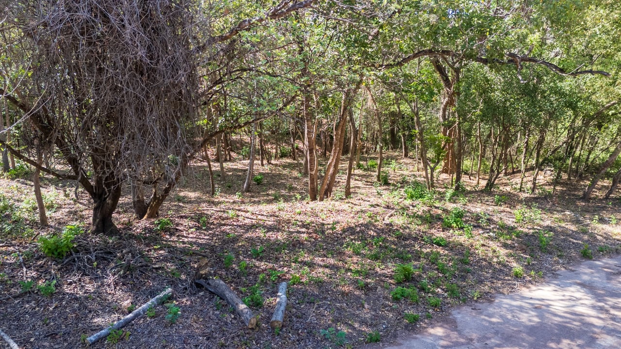 Rancho Las Colinas Lot #107