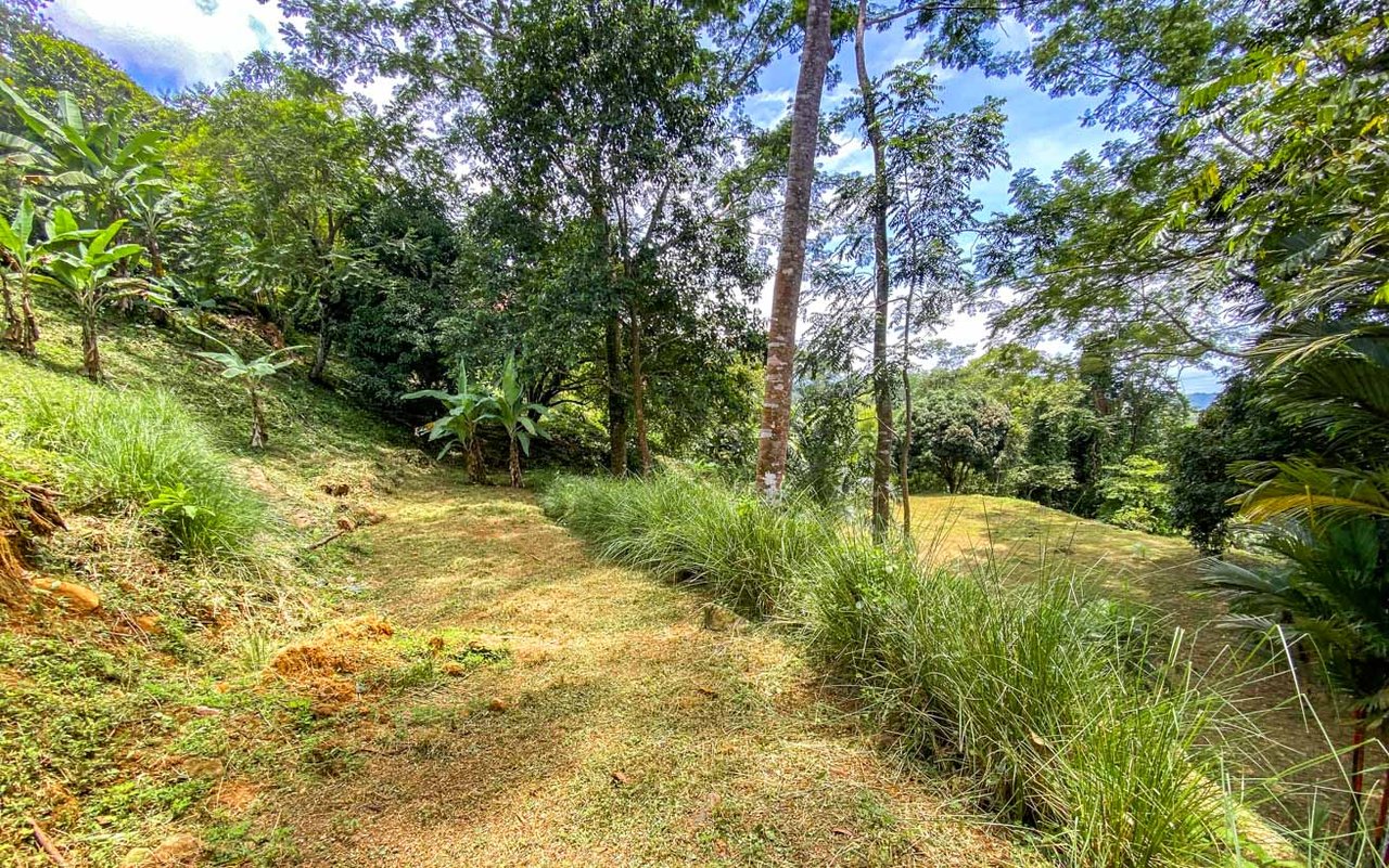 Large Uvita Lot With Whale’s Tail Ocean Views, Sunsets & Legal Water – Ready to Build!
