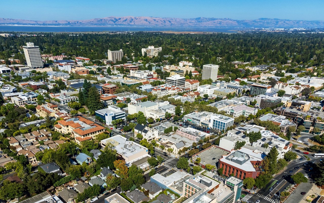 Aerial view of Palo Alto’s leafy downtown, with water and distant hills on the horizon.