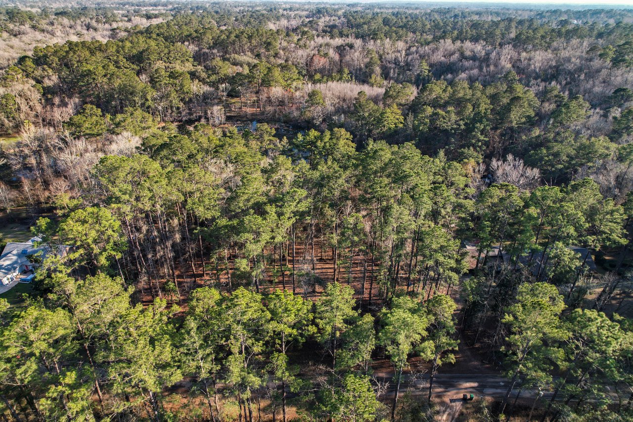 Aerial view of a lush forest with dense green tree canopies under soft daylight. A house peeks through trees on the left. The scene feels serene.