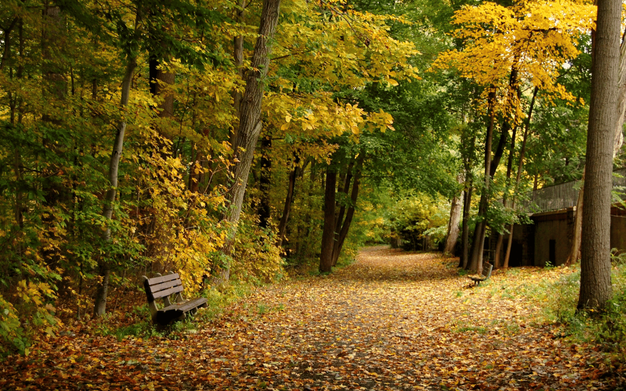 What First-Time Homebuyers Should Know About Scarsdale