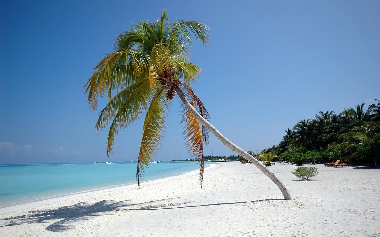 Puerto Viejo