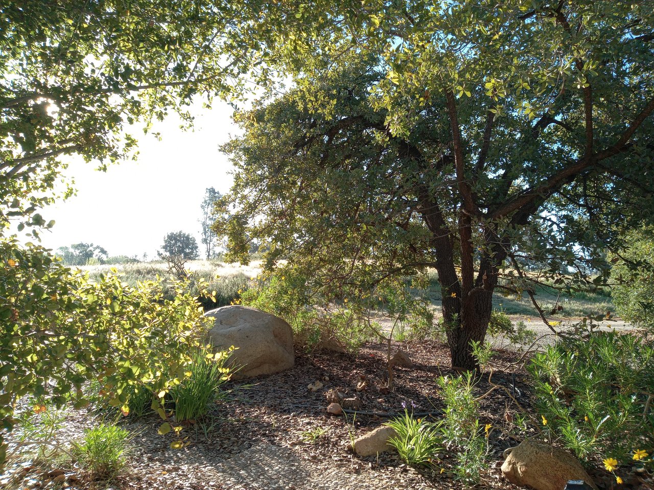 32725 Jerome Road
