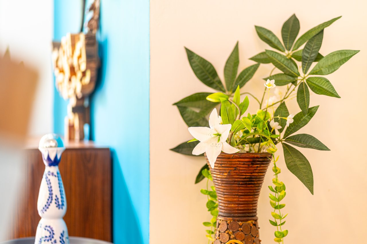 Casa Luna, 3bed /3bath Private Oasis, Convenient Location