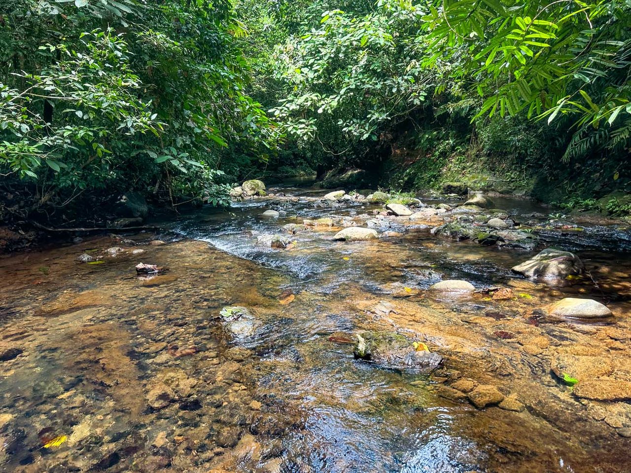 Jungle Home with Riverfront and Orchard in Ojochal Costa Rica