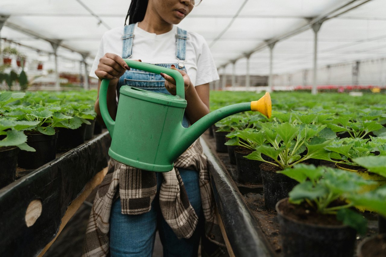 Urban Farm Living Near Charlotte: Is It Possible?