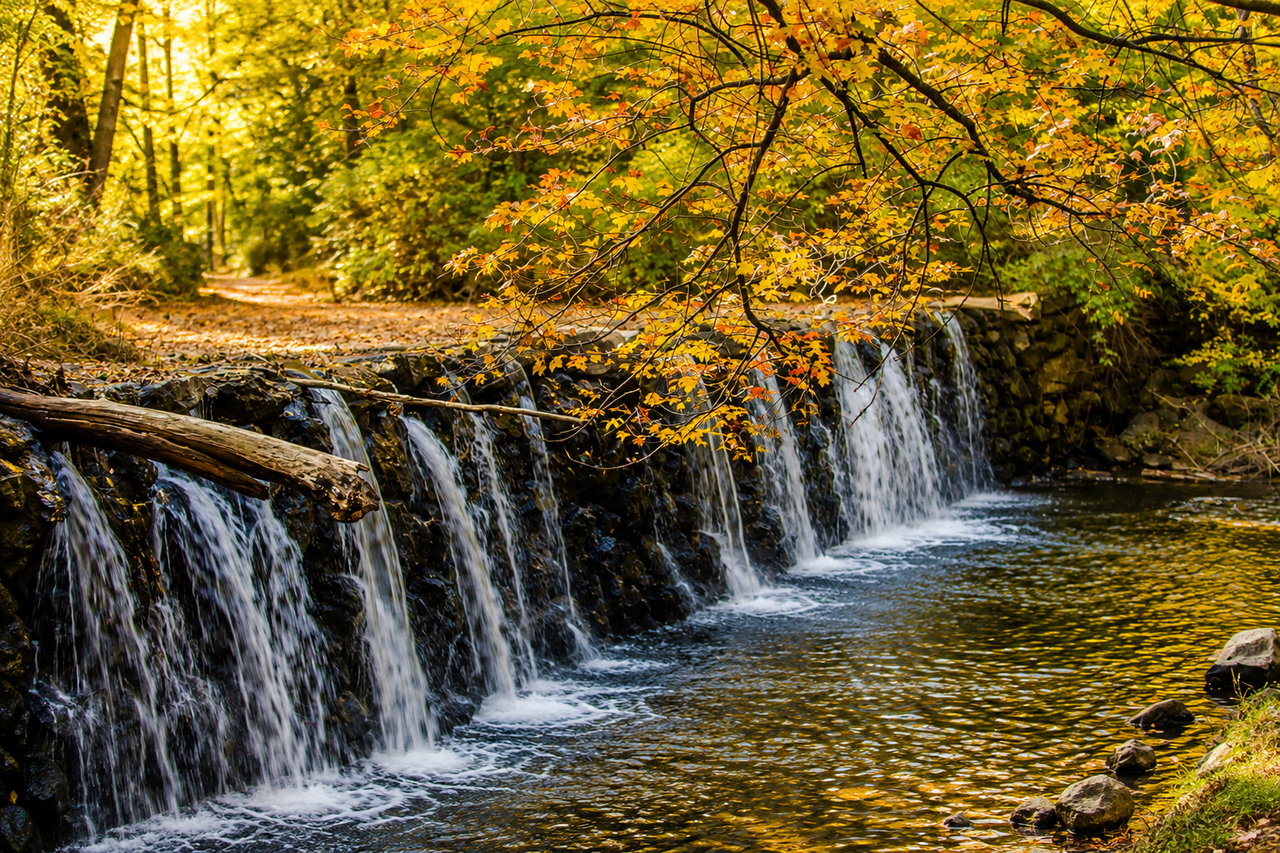 The Best Delco Towns for First-Time Homebuyers in 2026