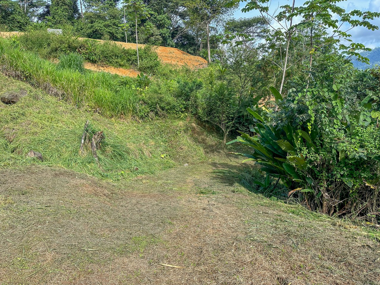 Jungle, Mountain & Valley View Lot with Two Large Plantels, Bordering a Crystal Mountain River with Swimholes & a Waterfall