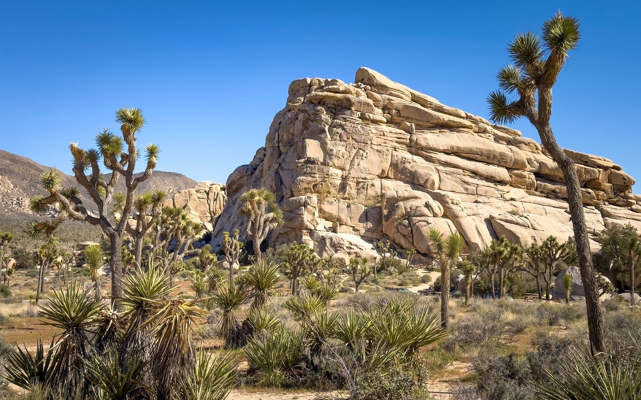 Johnson Valley