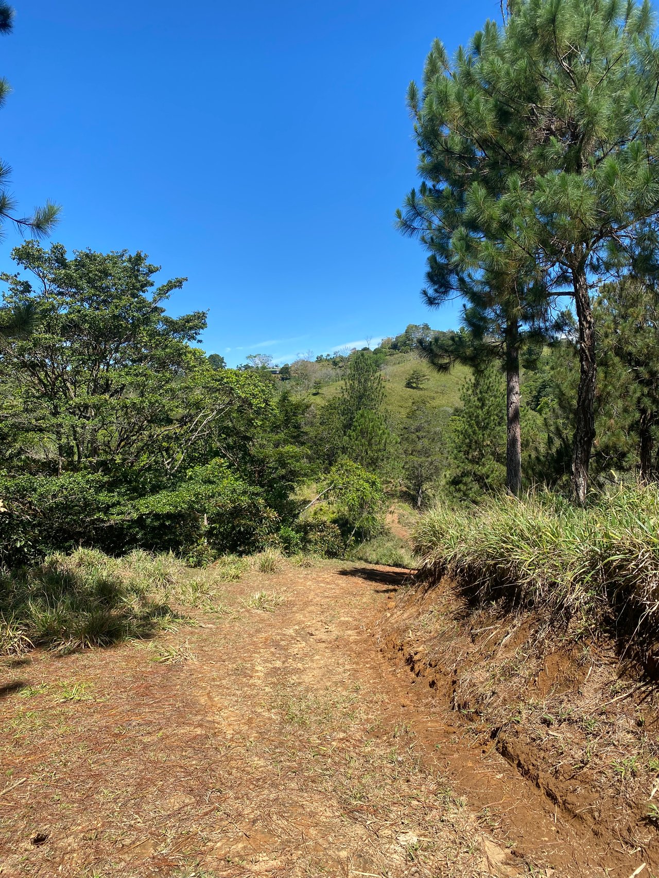 54 Acre Ranch in San Vito, Coto Brus