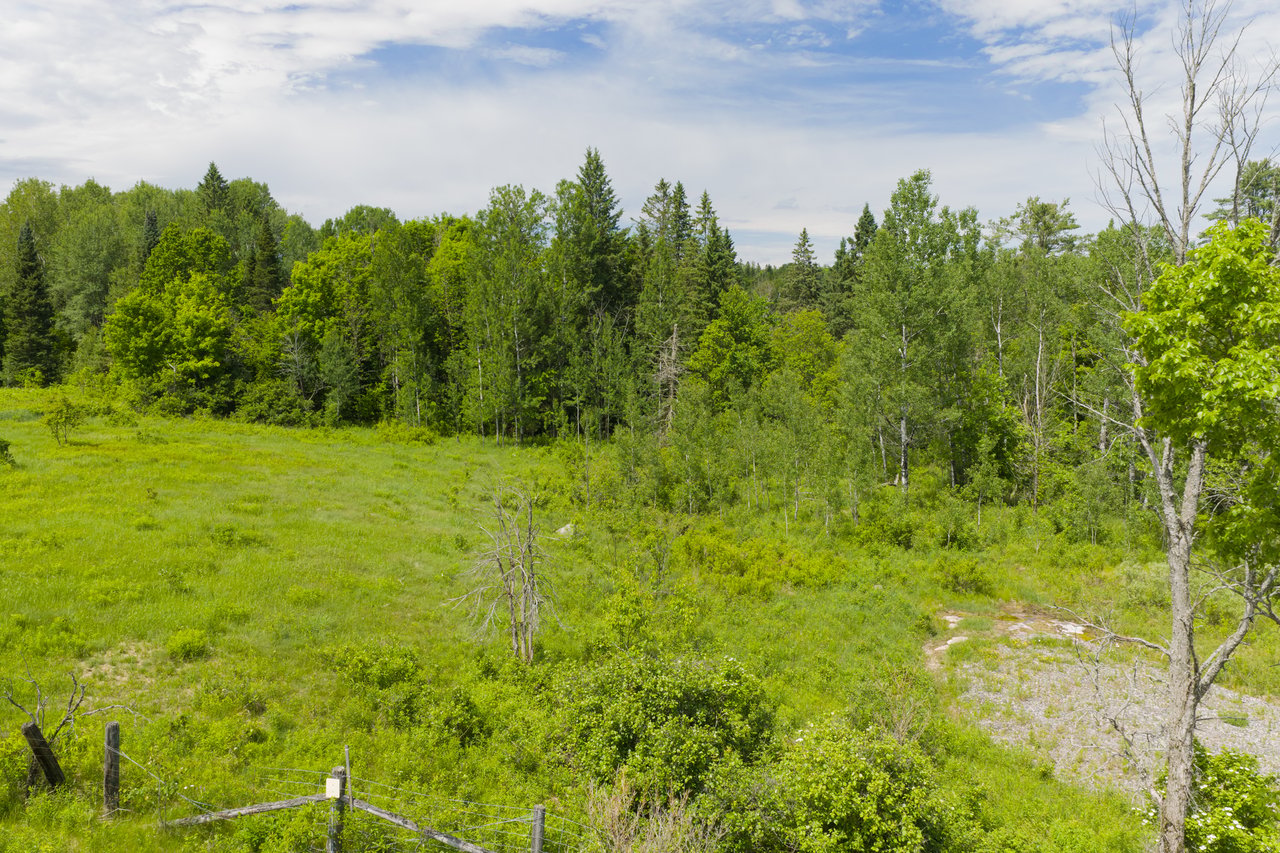 LOT 78 141 HIGHWAY
