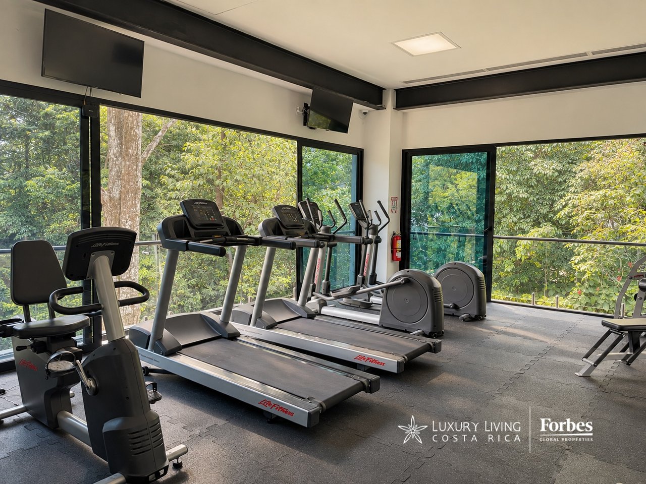 Gym with treadmills and elliptical machines beside large windows overlooking greenery.