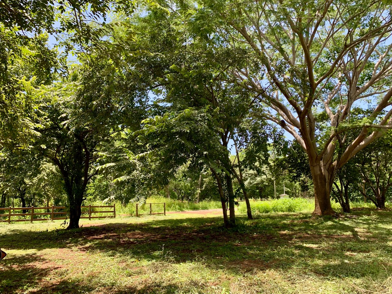 Hammock Plantación | Spacious Agricultural Land Near Playa Negra