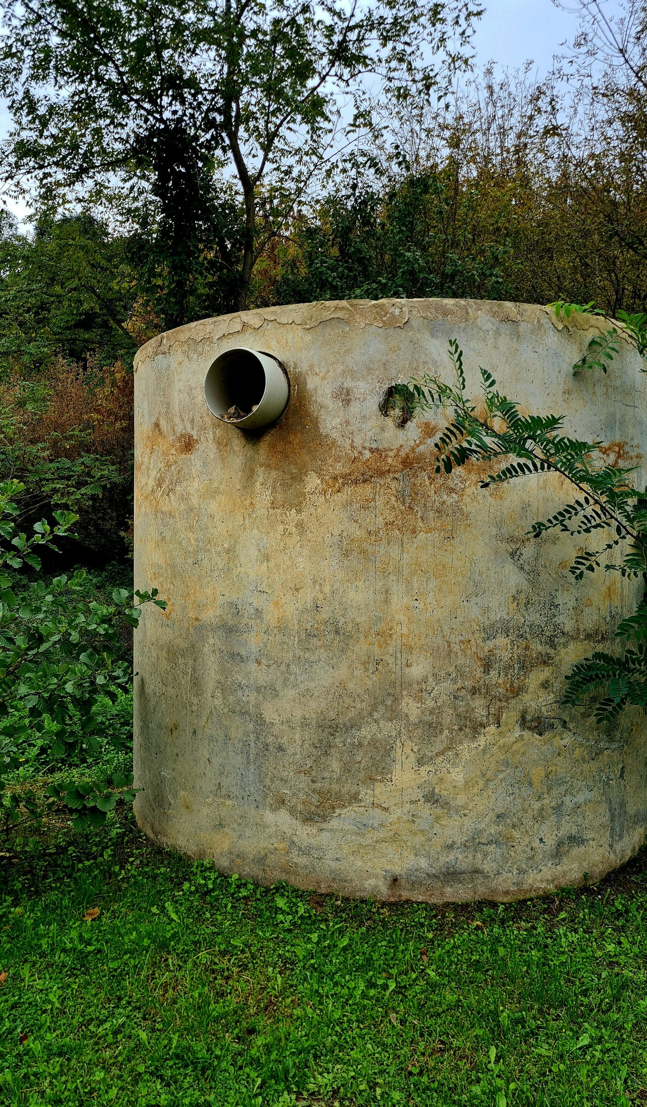 5 Things to Look for During a Septic Inspection