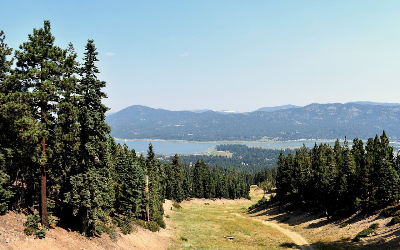 Big Bear