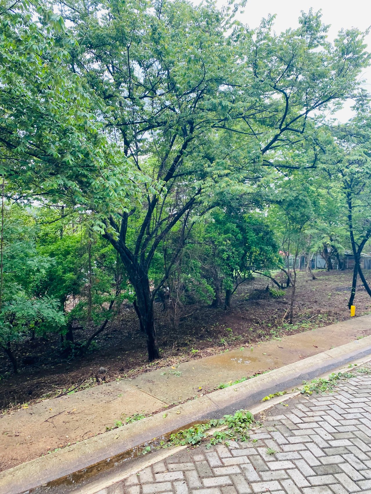 Valle Escondido