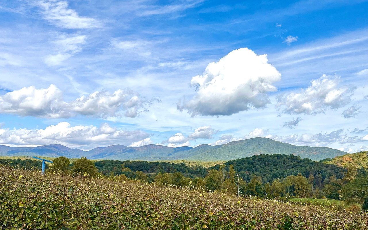 Dahlonega