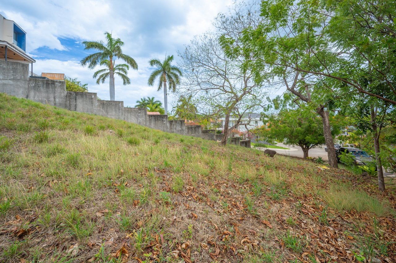 851 M2 RESIDENTIAL LOT - ALTOS DE FLAMINGO 