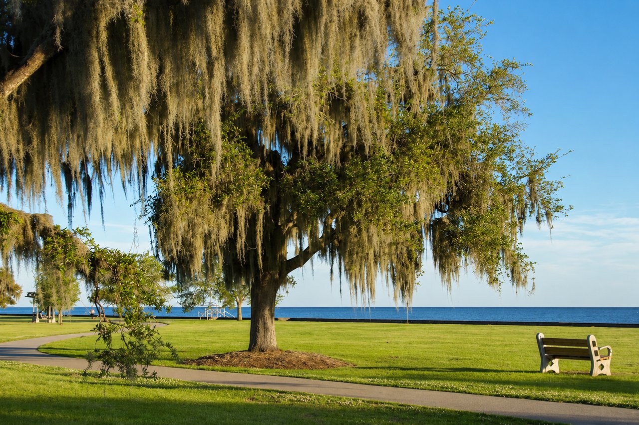Mandeville