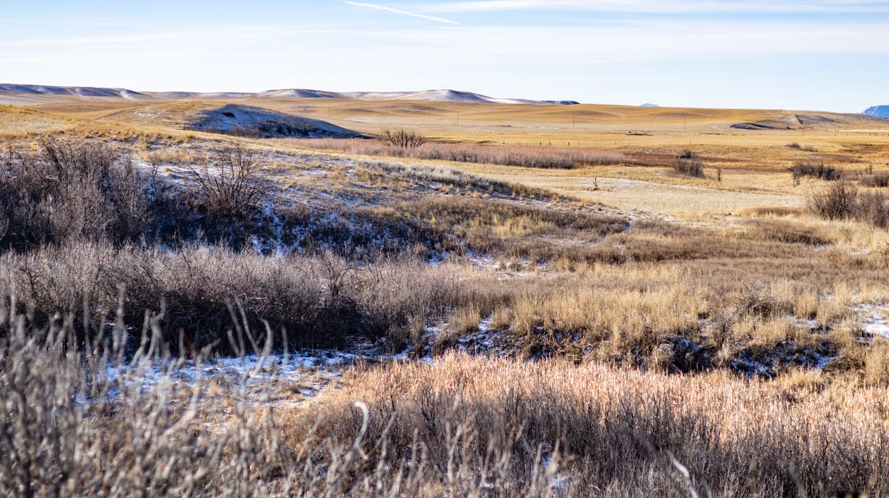 Blood Coulee Ranch