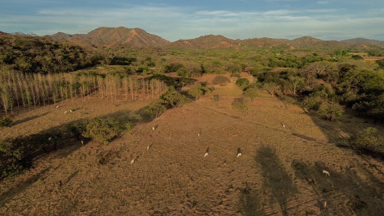 Exclusive Land Surrounded by Nature, Tamarindo, Guanacaste