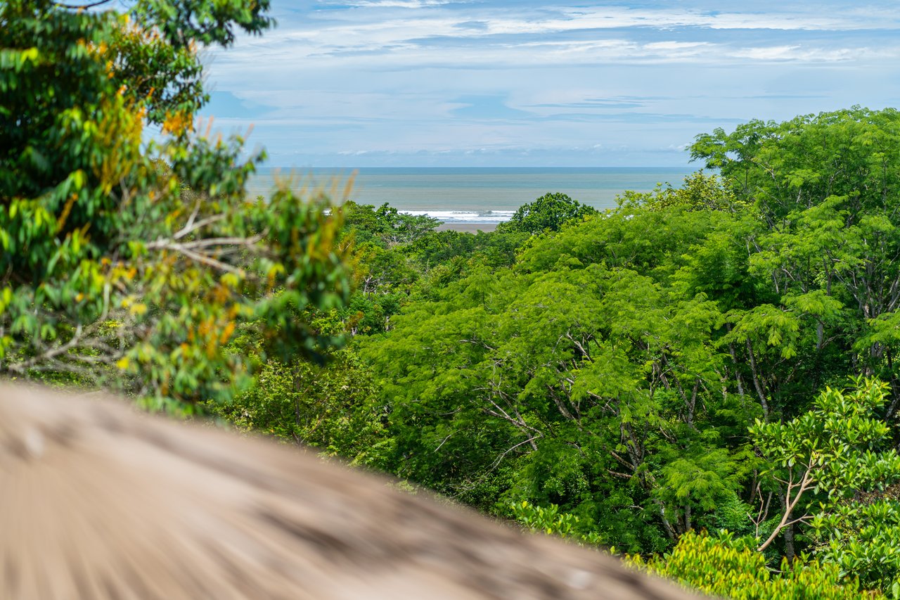 Casa Chiquita - Ocean View Retreat in the Heart of Ojochal – 3 Bed, 3 Bath with Pool, Fruit Trees & Prime Location