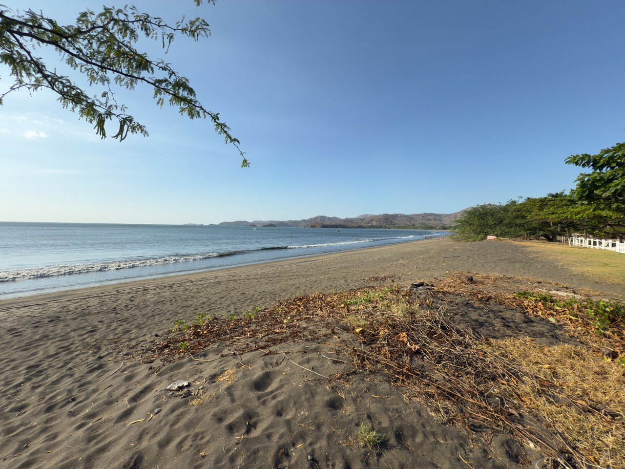 Golden Palms #4: Modern Beachfront Condo in Playa Potrero | 2 Bed, 2 Bath