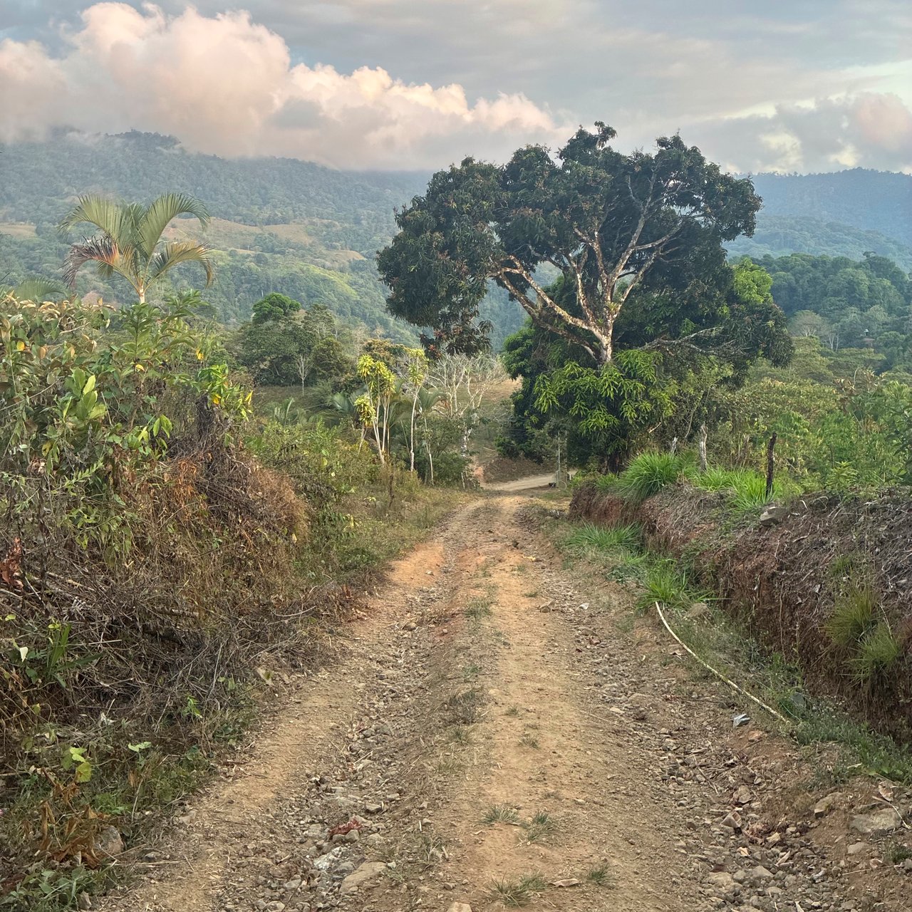 Ocean & Mountain View Lot with Multiple Building Sites-20 Minutes from Uvita