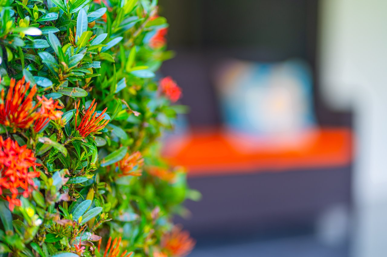 Beautiful Casa Tucán Escape, Tres Rios,  Gorgeous Mountain View with Room to Build!