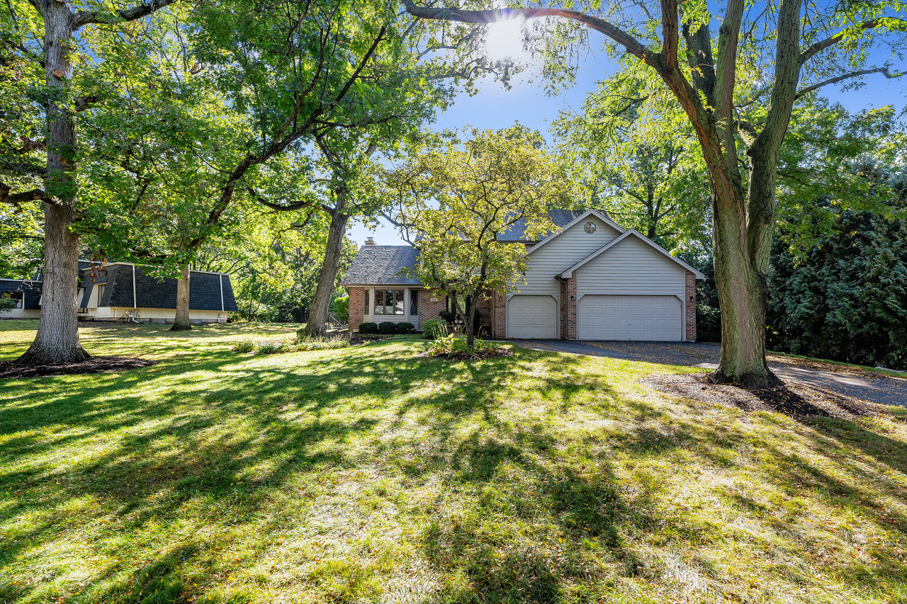 346 Meadowrue Lane