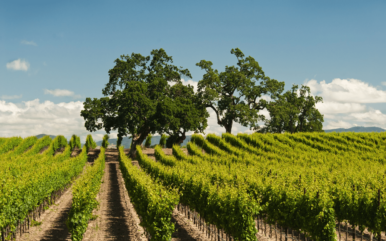 Napa County