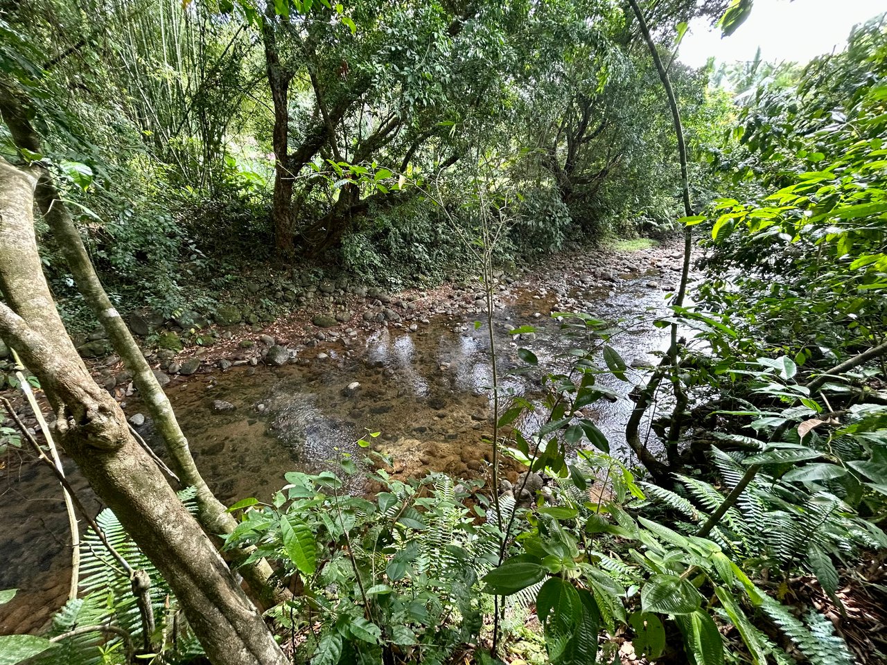 Hatillo Breeze, 2 Bedroom Home on 1,311m2 of usable land and year round creek!