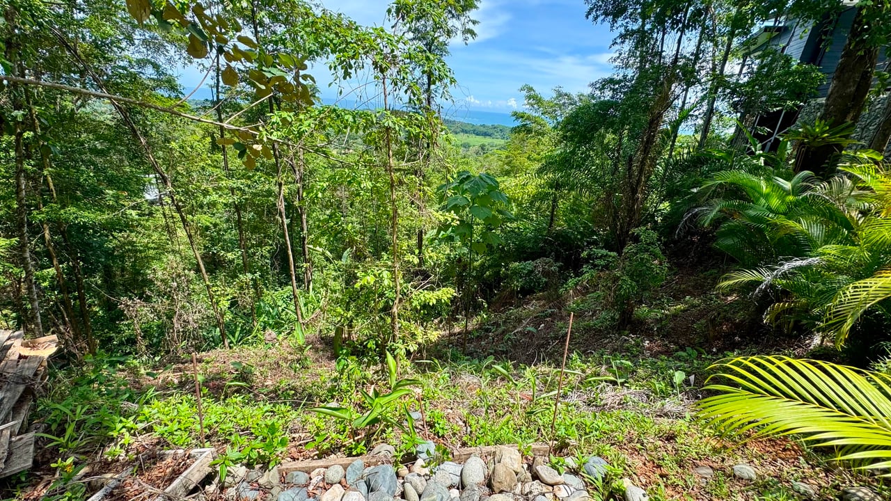 Exclusive and Unique Ocean Views lot in the Hills of Uvita!