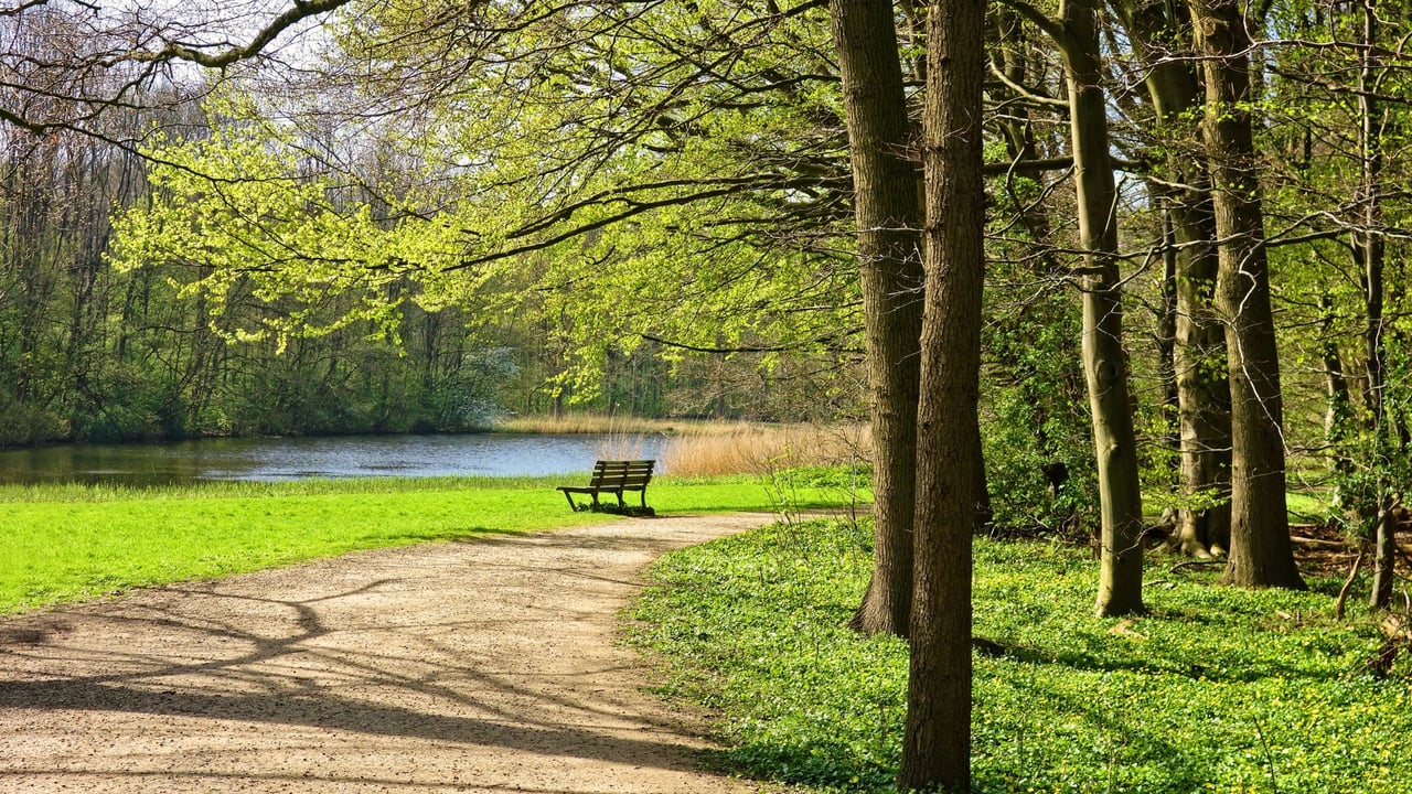 The Woodlands