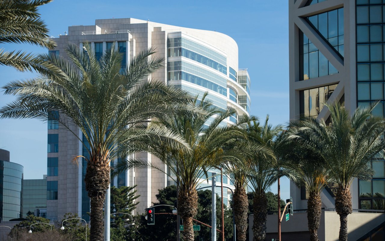 Modern office buildings and palm trees along a sunny Santa Ana street.