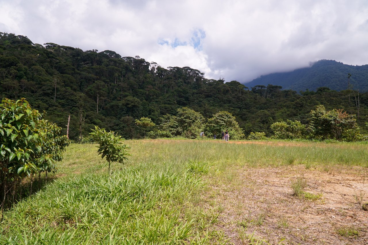 REDUCED! 77-Acre Mountain Paradise with Waterfalls & Epic Views in Santa Elena 