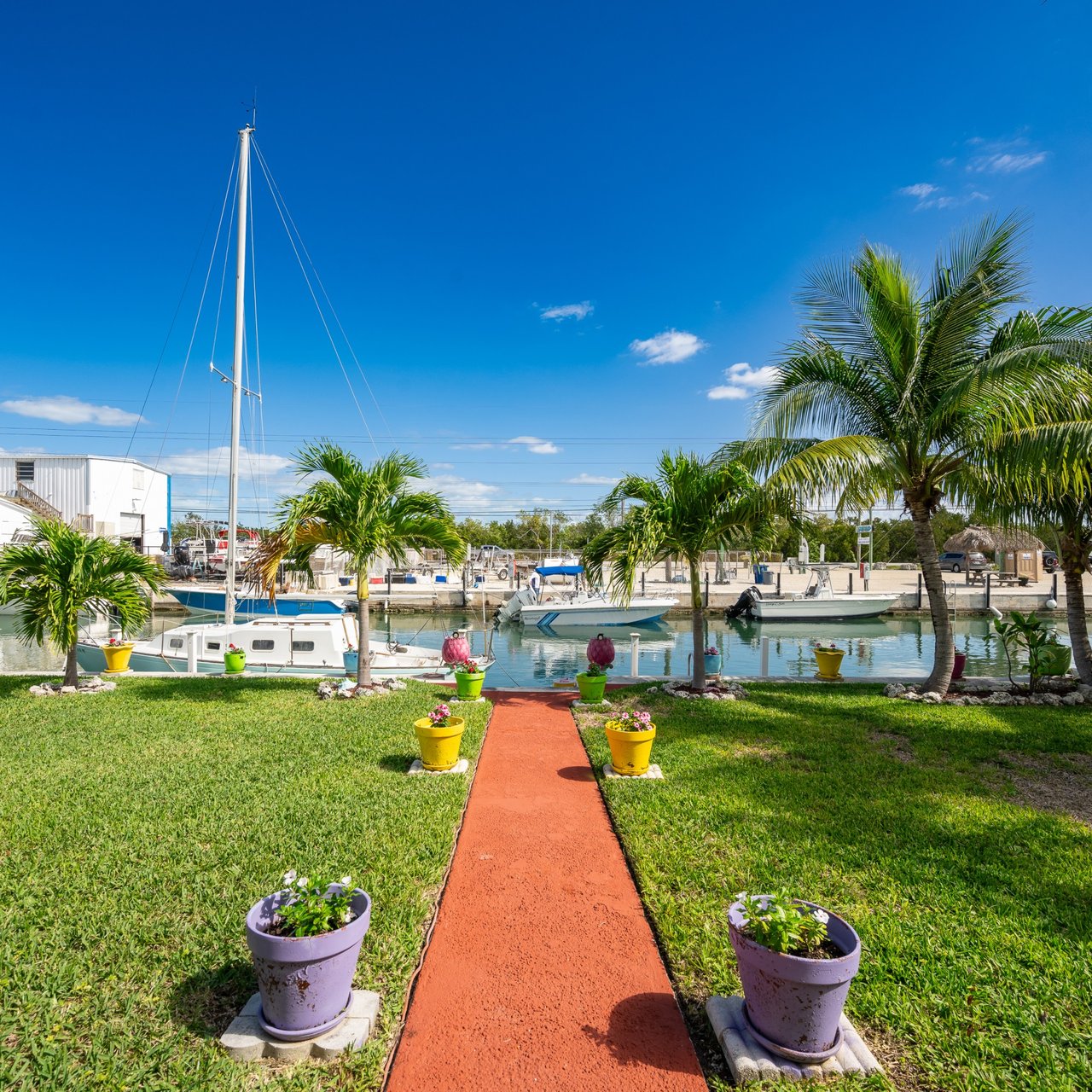 Palm-lined walkway leads to boats docked at a marina.