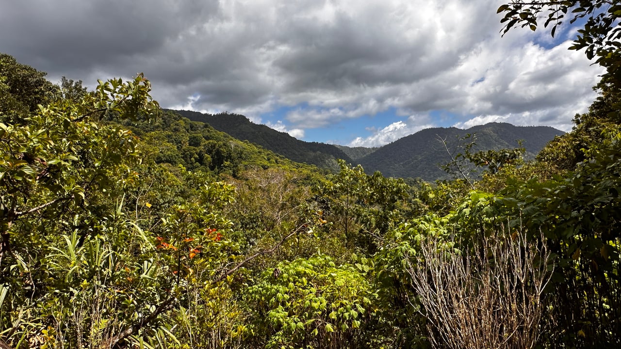 Charming Mountain Retreat minutes from Ojochal